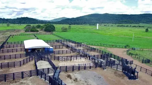 Fazenda/Sítio à venda, 19360000m² no , Confresa