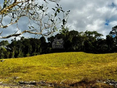 Lote/Terreno à venda, 80360m² no , Angelina