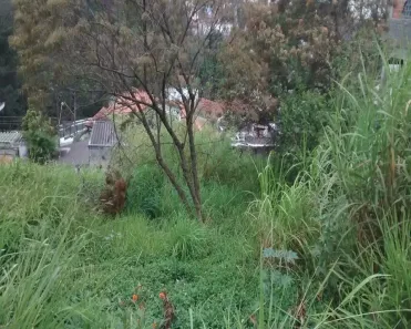 Lote/Terreno à venda, 524m² no Jardim Jussara, São Paulo