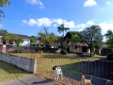 Casa com 3 Quartos à venda, 62m² no São Luiz, Criciúma