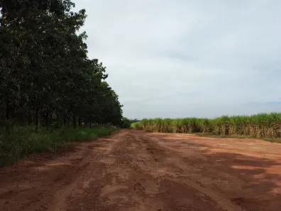Fazenda/Sítio à venda, 214412m² no , José Bonifácio