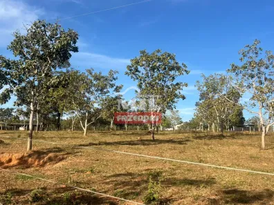 Fazenda/Sítio à venda, 1m² no Vila Santa Terezinha, Inhumas