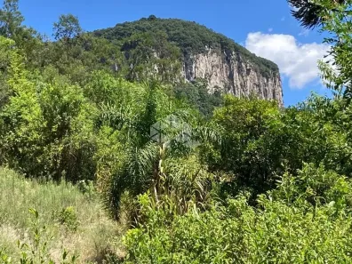 Fazenda/Sítio à venda, 80000m² no , Nova Petrópolis