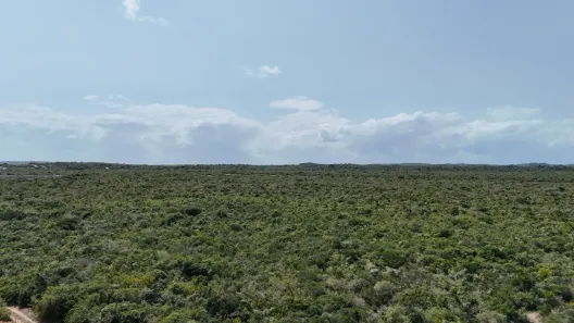 Lote/Terreno à venda, 18000m² no Moinho Dos Ventos, Extremoz