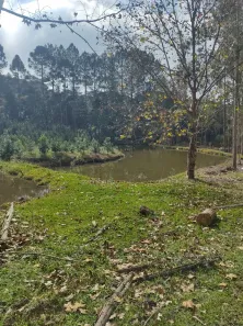 Fazenda/Sítio à venda, 117500m² no , Agudos do Sul