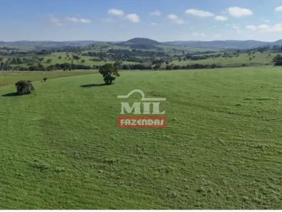 Fazenda/Sítio à venda, 500m² no , Caturaí