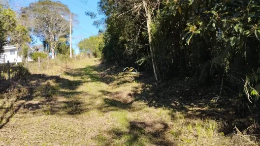 Lote/Terreno à venda, 11946m² no Jardim São Vicente, Campo Largo