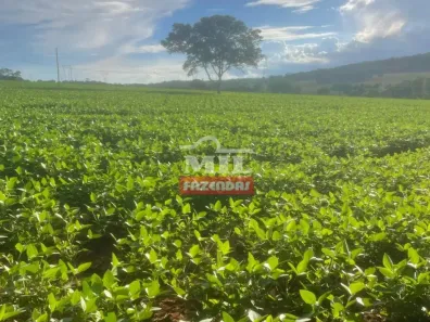 Fazenda/Sítio à venda, 500m² no , Orizona