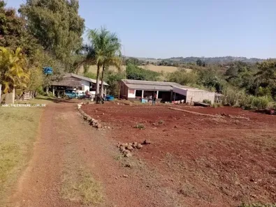 Lote/Terreno à venda, 5000m² no Brasília, Londrina