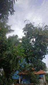 Casa com 3 Quartos à venda, 450m² no Jardim Paulista, Votorantim