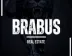 Miniatura da foto de Brabus Negocios Imobiliarios