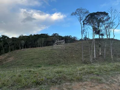 Lote/Terreno à venda, 25090m² no , Angelina