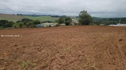 Lote/Terreno à venda, 121000m² no , Faxinal