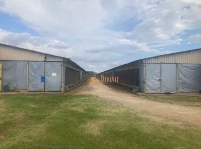Fazenda/Sítio à venda, 576000m² no Vila São Gonçalo, Itapetininga