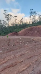Lote/Terreno à venda, 5000m² no Santa Luzia, Ribeirão Pires