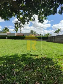 Lote/Terreno à venda, 981m² no Jardim do Cedro, São José do Rio Preto