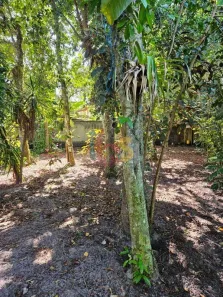 Lote/Terreno à venda, 1030m² no Arraial D'Ajuda, Porto Seguro