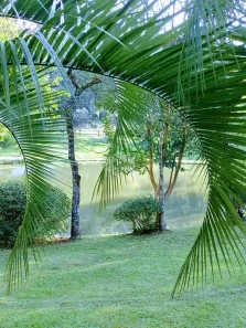 Fazenda/Sítio à venda, 6717m² no , Garibaldi
