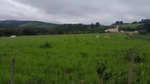 Fazenda/Sítio com 2 Quartos à venda, 190000m² no , Passa Tempo
