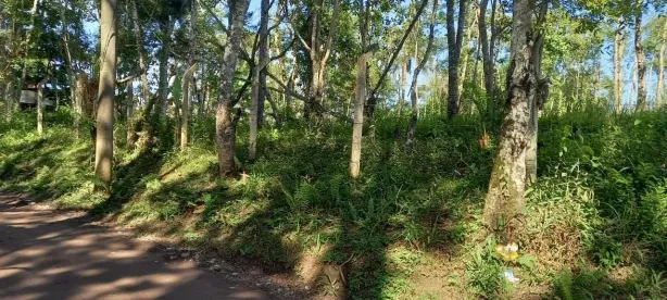 Lote/Terreno à venda, 5000m² no Embura, São Paulo