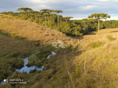 Fazenda/Sítio à venda, 130000m² no Centro, São Francisco de Paula