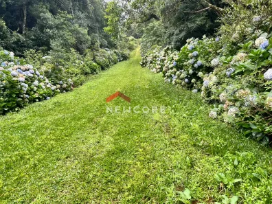 Lote/Terreno à venda, 600m² no Centro, São Francisco de Paula