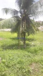 Lote/Terreno à venda, 600m² no Jabotiana, São Cristóvão
