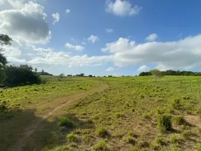 Fazenda/Sítio com 3 Quartos à venda, 200000m² no , Monte Alegre