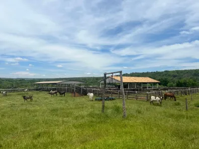 Fazenda/Sítio com 3 Quartos à venda, 2517000m² no Centro, Paranaíba