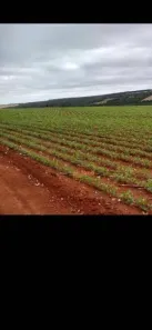 Fazenda/Sítio à venda, 4840000m² no Horto do Ipê, Itapeva