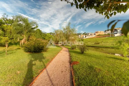 Lote/Terreno à venda, 331m² no Colônia Dona Luíza, Ponta Grossa