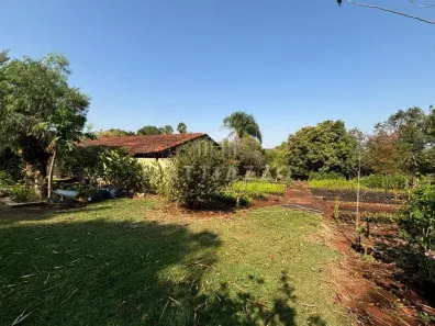 Fazenda/Sítio com 3 Quartos à venda, 24000m² no Jardim Rosa Marrafon Lucas, Limeira