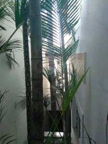 Sobrado com 4 Quartos à venda, 247m² no Água Fria, São Paulo