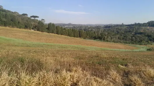 Lote/Terreno à venda, 500m² no Tijuco Preto(Caucaia do Alto), Cotia