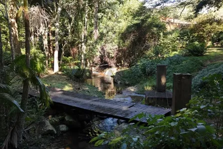 Lote/Terreno à venda, 17000m² no Itacorubi, Florianópolis