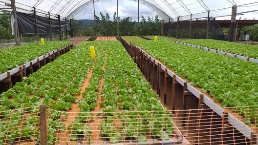 Fazenda/Sítio com 3 Quartos à venda, 300m² no , Campo Verde