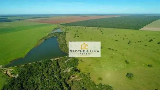 Fazenda/Sítio com 10 Quartos à venda, 900m² no , Ribeirão Cascalheira