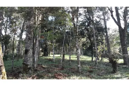 Lote/Terreno à venda, 1822m² no , Bom Retiro