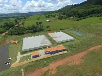 Fazenda/Sítio com 5 Quartos à venda, 130000m² no , São Simão