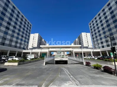 Apartamento com 2 Quartos à venda, 55m² no Jardim Limoeiro, Serra
