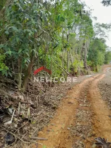 Lote/Terreno à venda, 7200m² no Santa Catarina, Joinville