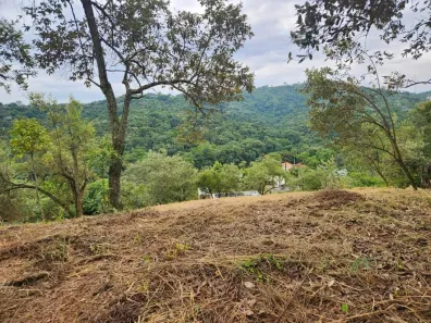 Lote/Terreno à venda, 2520m² no Vila Velha, Santana de Parnaíba