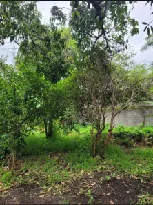 Lote/Terreno à venda, 450m² no Engenho do Mato, Niterói
