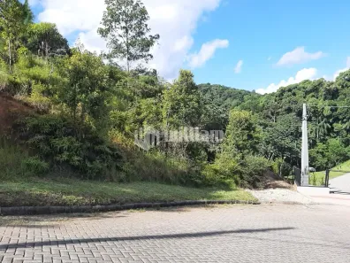 Lote/Terreno à venda, 7000m² no Souza Cruz, Brusque