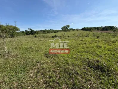 Fazenda/Sítio à venda, 500m² no , Professor Jamil