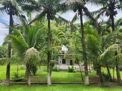 Fazenda/Sítio com 2 Quartos à venda, 10000m² no São Judas Tadeu, Barra Mansa