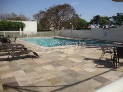 Apartamento com 2 Quartos à venda, 52m² no Jardim Nova Europa, Campinas