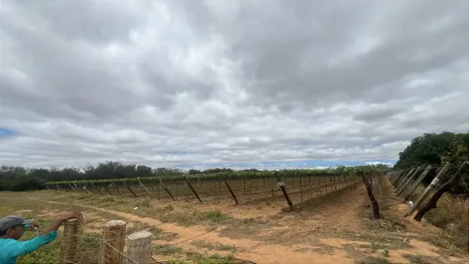 Lote/Terreno à venda, 11m² no Área Rural de Petrolina, Petrolina