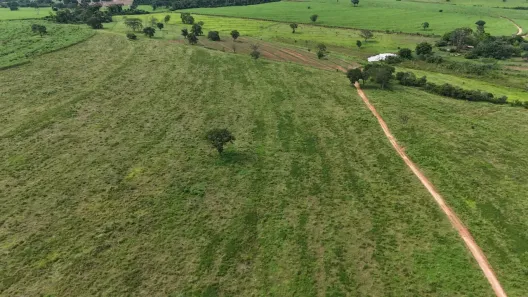 Fazenda/Sítio à venda, 484000m² no Centro, Palestina