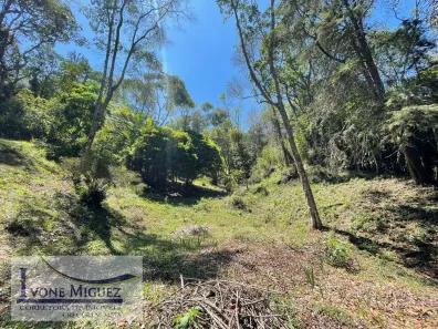 Lote/Terreno à venda, 3135m² no Palmares, Paty do Alferes